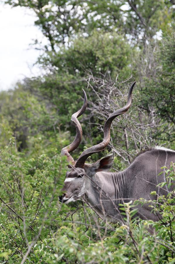 Villa Outeniqua Guest & Hunting Farm Okahandja Exterior foto
